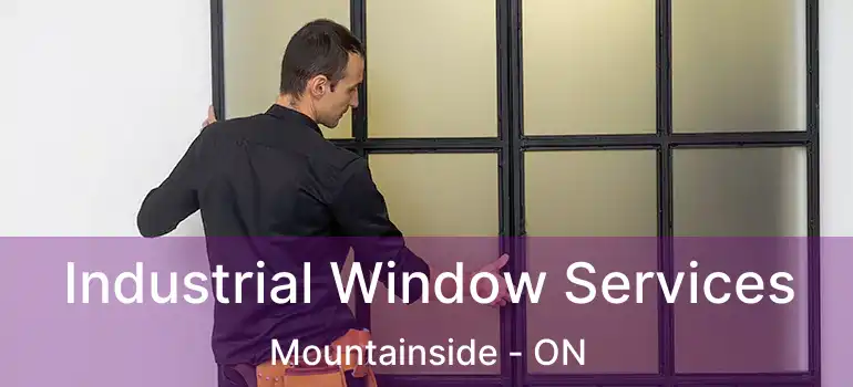  Industrial Window Services Mountainside - ON
