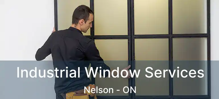  Industrial Window Services Nelson - ON