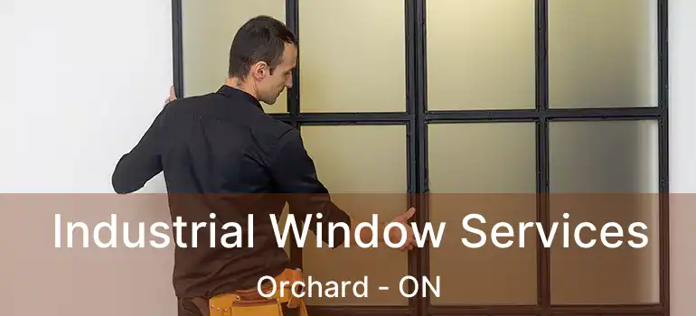  Industrial Window Services Orchard - ON