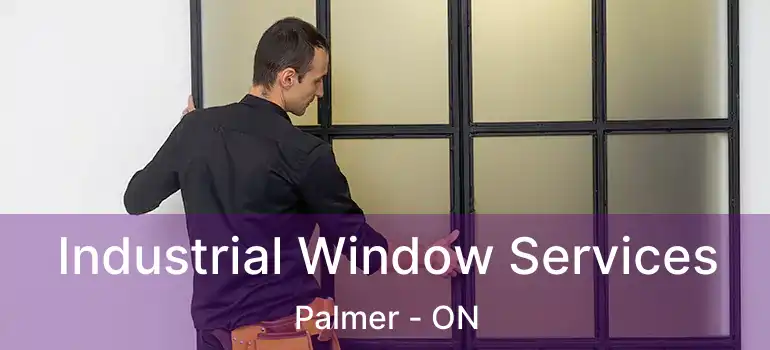  Industrial Window Services Palmer - ON