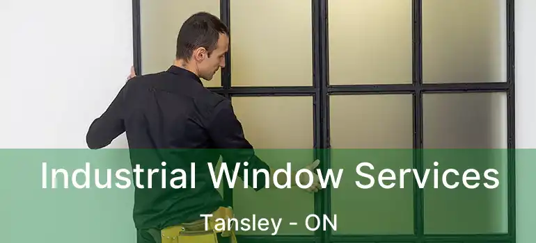  Industrial Window Services Tansley - ON