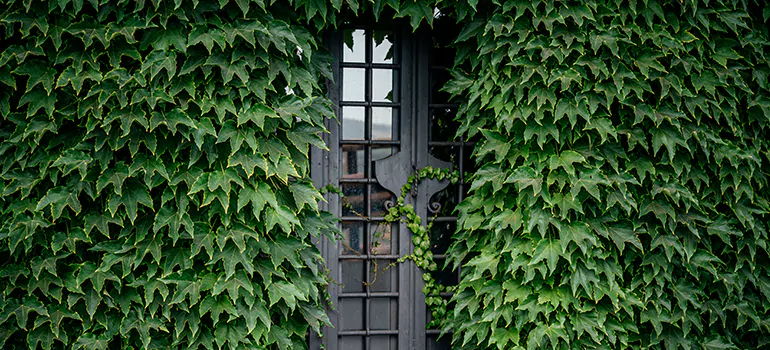 Garden Gate Repair in Burlington, ON