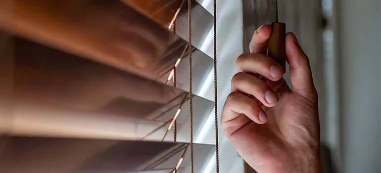 Double Roller Blinds in Burlington, Ontario