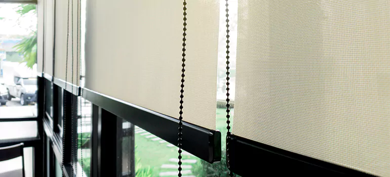 Blackout Window Shades in Burlington, Ontario