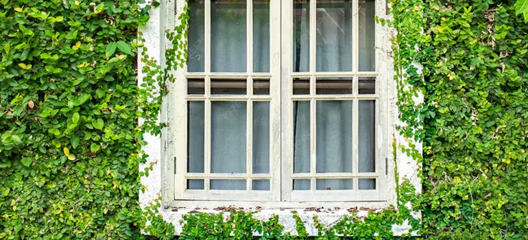 Garden Window Repair Near Me in Burlington, ON
