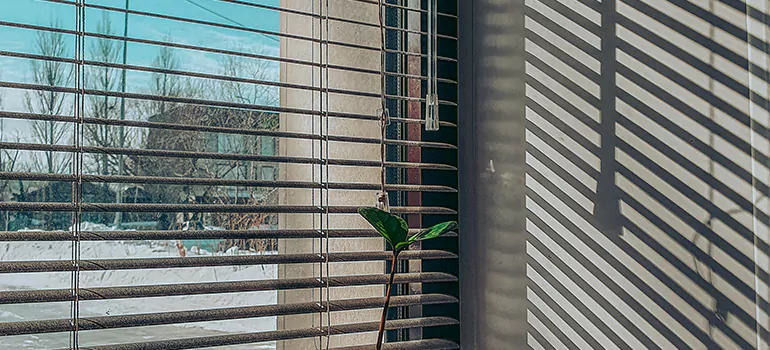 Commercial Window Blinds in Burlington, ON
