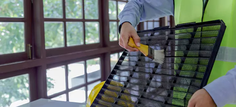 Traditional Window Grille Installation Options in Burlington, ON