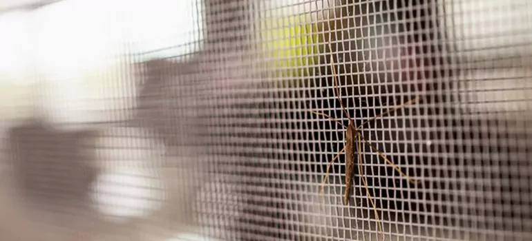 Repair Mosquito Mesh For Windows in Burlington, Ontario