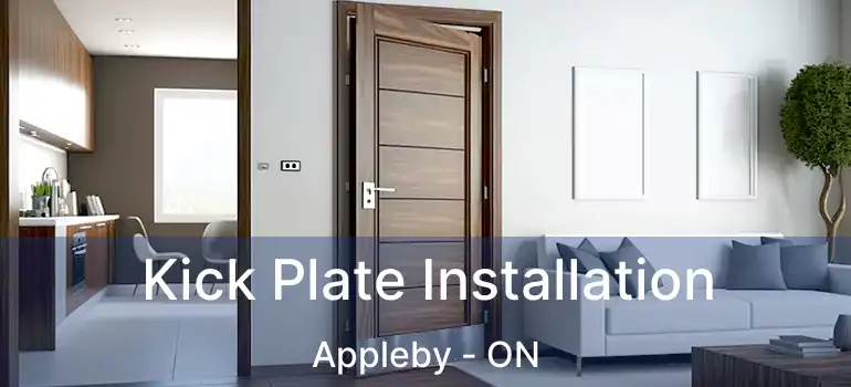  Kick Plate Installation Appleby - ON