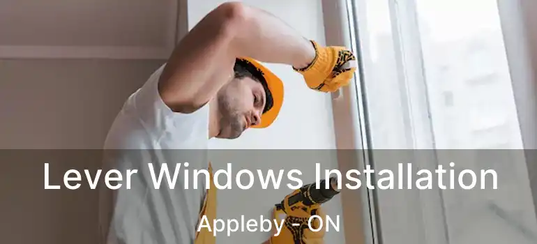  Lever Windows Installation Appleby - ON
