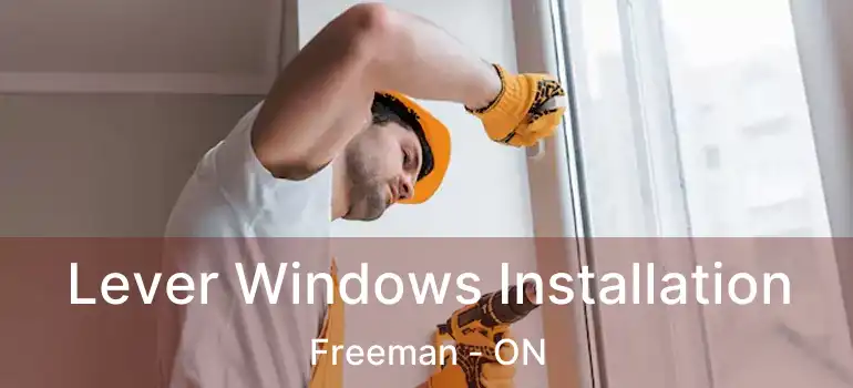  Lever Windows Installation Freeman - ON