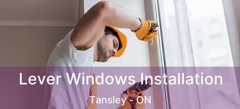  Lever Windows Installation Tansley - ON