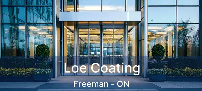  Loe Coating Freeman - ON