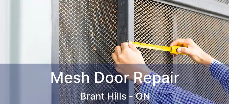  Mesh Door Repair Brant Hills - ON