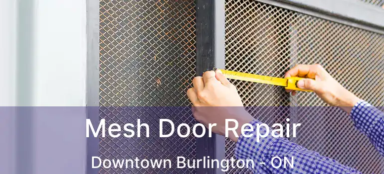  Mesh Door Repair Downtown Burlington - ON