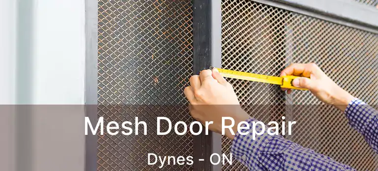  Mesh Door Repair Dynes - ON
