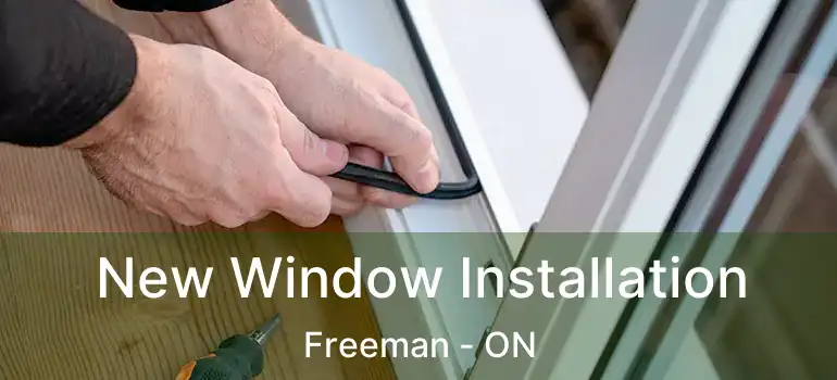  New Window Installation Freeman - ON