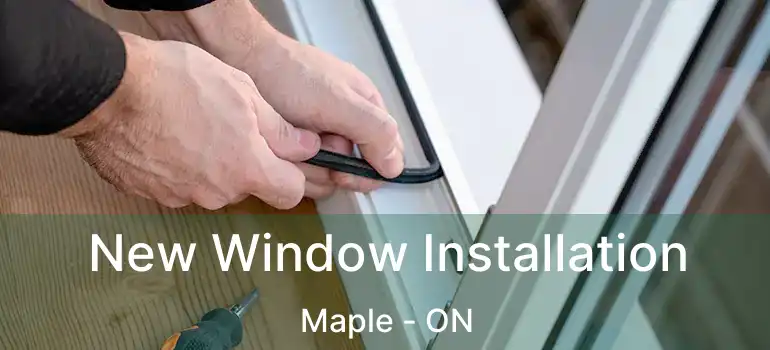  New Window Installation Maple - ON