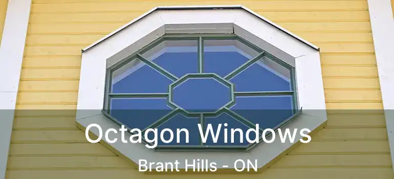  Octagon Windows Brant Hills - ON