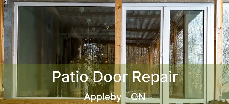  Patio Door Repair Appleby - ON