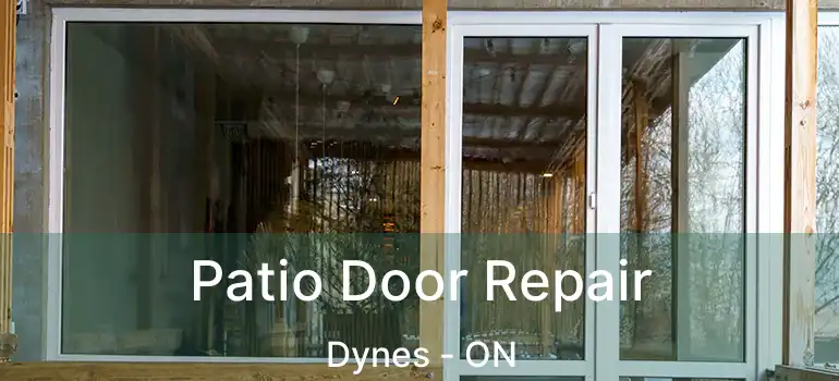  Patio Door Repair Dynes - ON