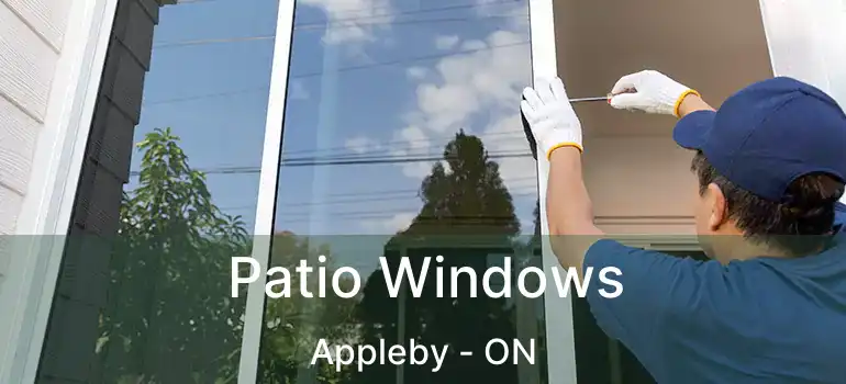  Patio Windows Appleby - ON