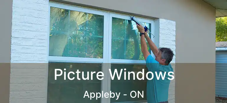  Picture Windows Appleby - ON
