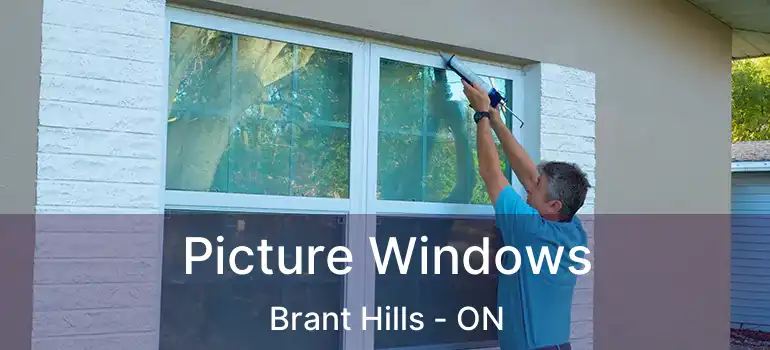  Picture Windows Brant Hills - ON