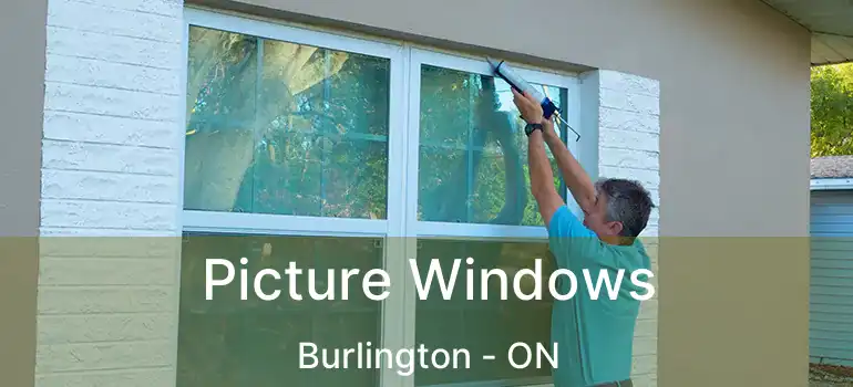  Picture Windows Burlington - ON