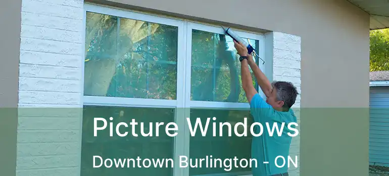  Picture Windows Downtown Burlington - ON
