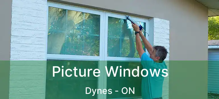  Picture Windows Dynes - ON