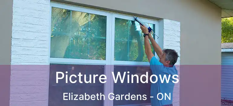  Picture Windows Elizabeth Gardens - ON