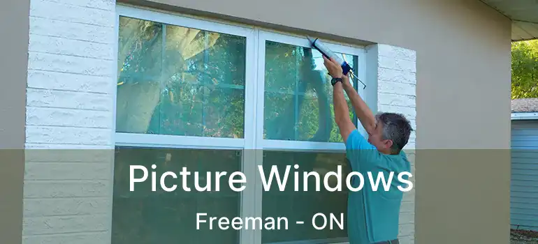  Picture Windows Freeman - ON