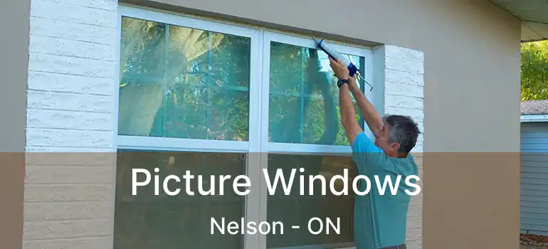  Picture Windows Nelson - ON
