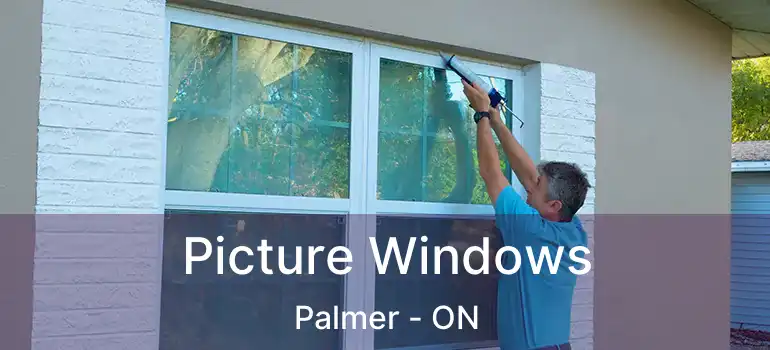  Picture Windows Palmer - ON