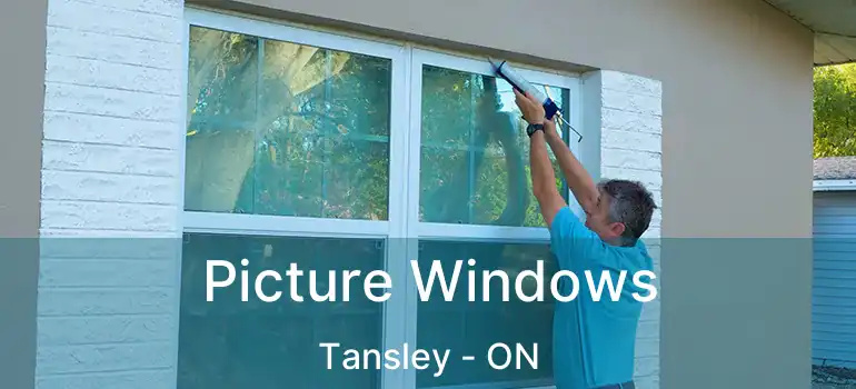  Picture Windows Tansley - ON