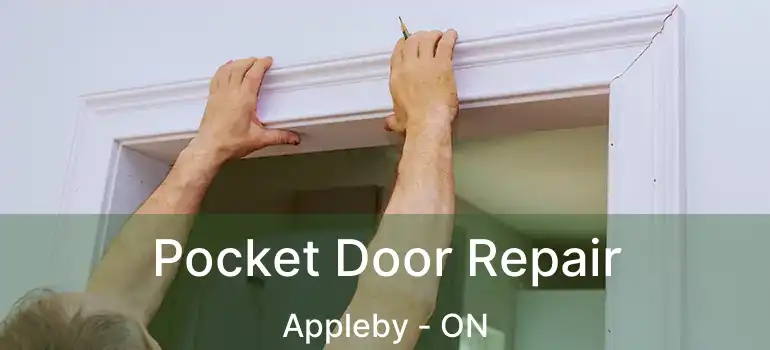  Pocket Door Repair Appleby - ON