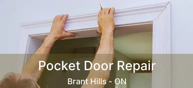  Pocket Door Repair Brant Hills - ON