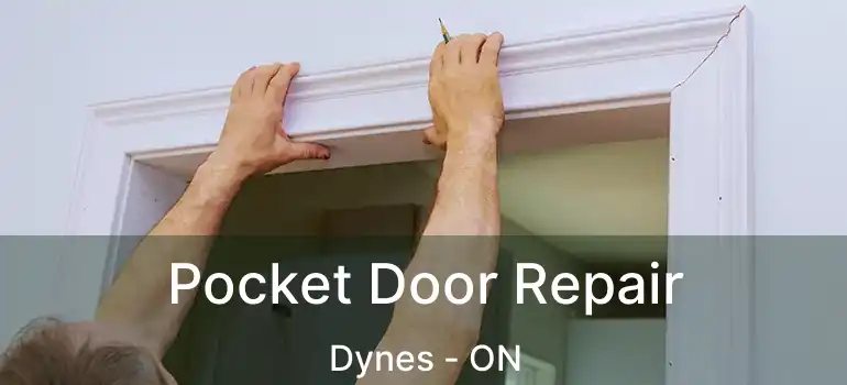  Pocket Door Repair Dynes - ON