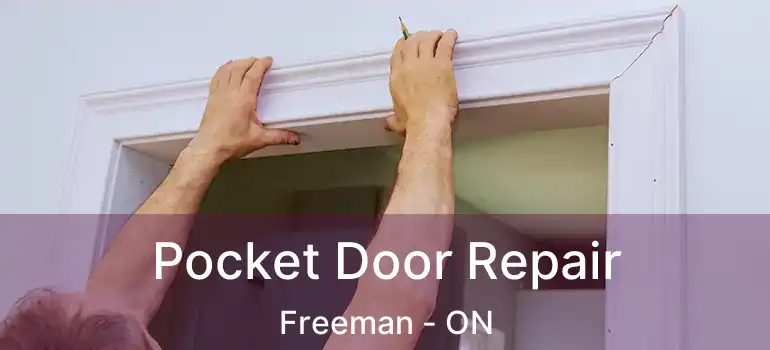  Pocket Door Repair Freeman - ON