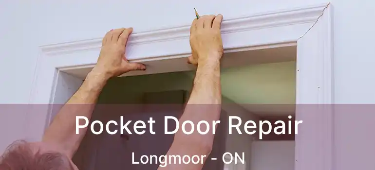  Pocket Door Repair Longmoor - ON