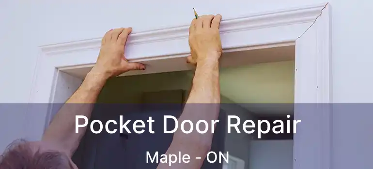  Pocket Door Repair Maple - ON