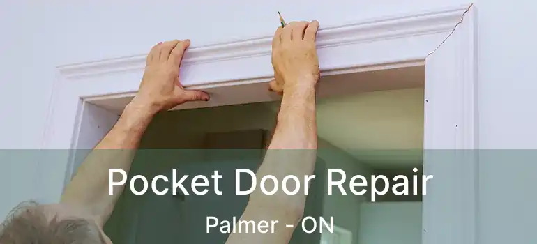  Pocket Door Repair Palmer - ON