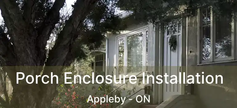  Porch Enclosure Installation Appleby - ON