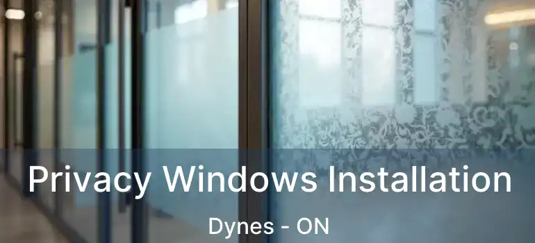  Privacy Windows Installation Dynes - ON