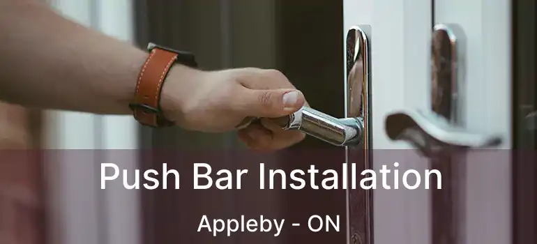  Push Bar Installation Appleby - ON