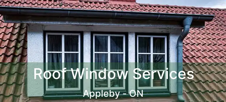  Roof Window Services Appleby - ON