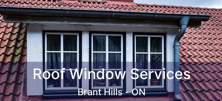  Roof Window Services Brant Hills - ON