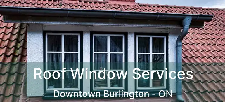  Roof Window Services Downtown Burlington - ON