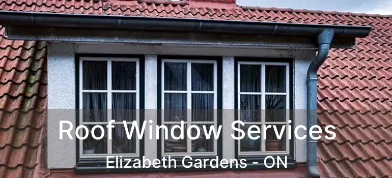  Roof Window Services Elizabeth Gardens - ON